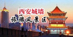 非洲大吊艹美女的逼动漫中国陕西-西安城墙旅游风景区